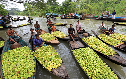 floating guava market in bangladesh