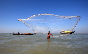 fisherman catching fish in river