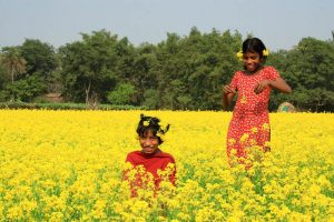 Girls play with mustard flowers.