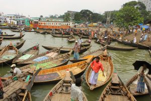 Life on Backwaters