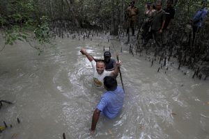 sundarban adventure tour