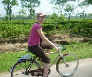 cycle tour in tea valley