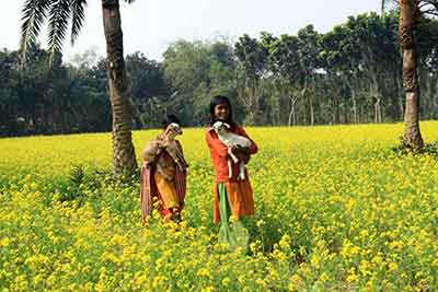 Girls in the mustard field