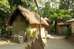 Village of Bangladesh