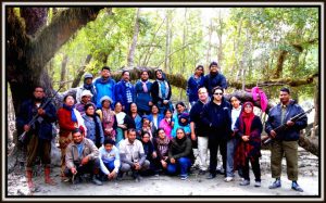 sundarbans tour forest