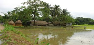 bangladesh village