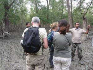 Adventure Tour in Sundarban