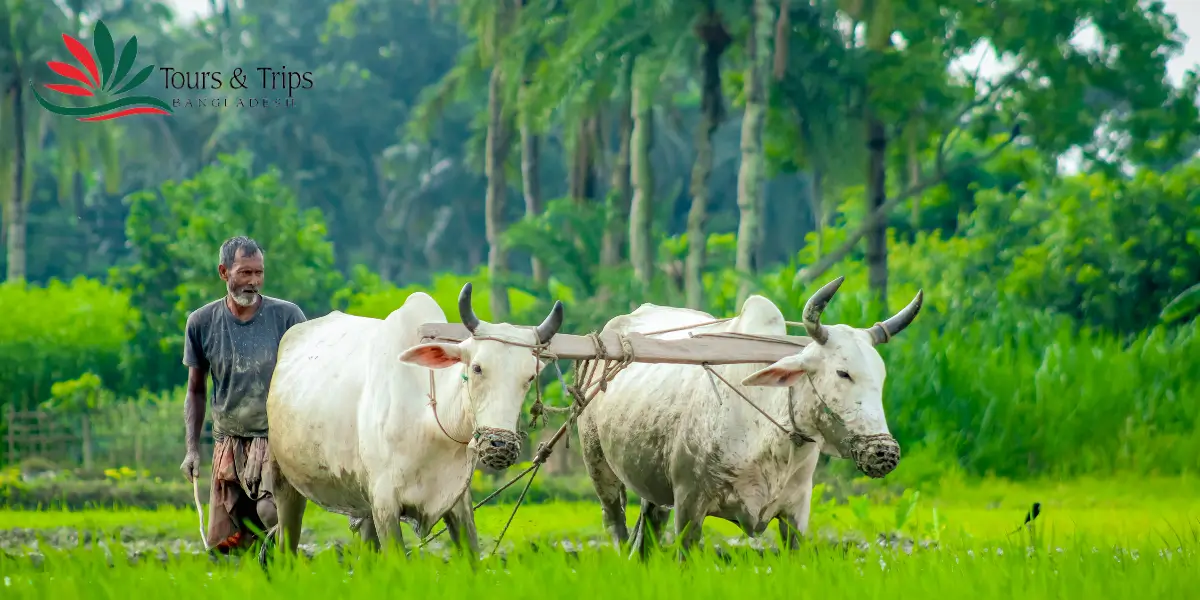 Budget Tour in Bangladesh