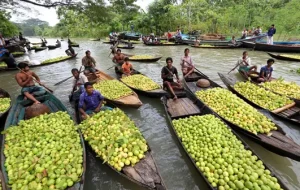 Baishal, Bagerhat & Sundarbans Tour